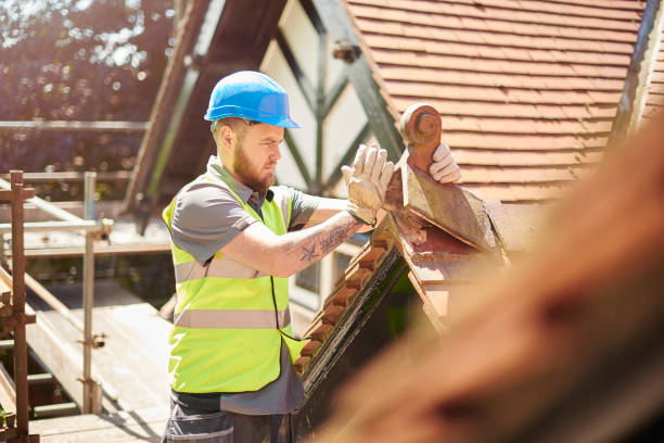 Best Roof Gutter Cleaning  in Greenwood, DE